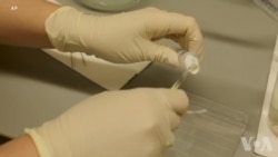 科学家靠“环境DNA”找寻濒危动物 科学家靠“环境DNA”找寻濒危动物