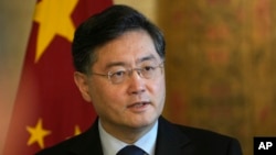 中国外交部长秦刚在开罗出席记者会。(资料照片,2023年1月15日)