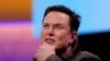 特斯拉总裁伊隆·马斯克（2019年6月13日）
