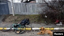 在俄军撤出后，乌克兰首都郊外布查镇的大街上可以看到一些被遗弃的平民尸体。（路透社2022年4月3日）