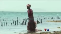 ကင်ညာအမျိုးသမီးတွေရဲ့ ရေညှိ့ဆယ်လုပ်ငန်း ကင်ညာအမျိုးသမီးတွေရဲ့ ရေညှိ့ဆယ်လုပ်ငန်း