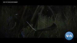 "ጓል-ኣንስተይቲ ንጉስ" በኒን ብሓድሽ ርእየት "ጓል-ኣንስተይቲ ንጉስ" በኒን ብሓድሽ ርእየት