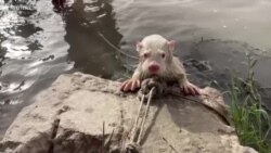 ၂၀၂၂ ဆိုရှယ်မီဒီယာလူကြည့်များသတင်းတို စုစည်းမှု  ၂၀၂၂ ဆိုရှယ်မီဒီယာလူကြည့်များသတင်းတို စုစည်းမှု