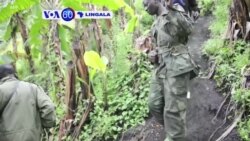 VOA60 Lingala 2 juin 222 VOA60 Lingala 2 juin 222