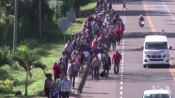 美国边境居民认为没有必要部署军队 美国边境居民认为没有必要部署军队