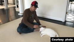 Daden berprofesi sebagai penjaga rumah (house sitter) dan pengurus kucing (cat sitter) (foto: dokumen pribadi).