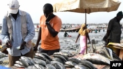 资料照片:2019年7月22日,捕捞的鱼在塞内加尔达喀尔某海滩的一个摊位上出售。(法新社照片)