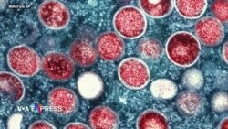 CDC Mỹ hỗ trợ Việt Nam phòng chống đậu mùa khỉ CDC Mỹ hỗ trợ Việt Nam phòng chống đậu mùa khỉ