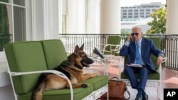 美国总统拜登在新冠隔离期间在白宫阳台上与白宫幕僚长电话交谈(2022年7月25日)