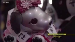 “အပိုင်းပိုင်းပြတ်တဲ့ ယူကရိန်းတံတား” ဆိုရှယ်မီဒီယာ လူကြည့်များ သတင်းတို “အပိုင်းပိုင်းပြတ်တဲ့ ယူကရိန်းတံတား” ဆိုရှယ်မီဒီယာ လူကြည့်များ သတင်းတို