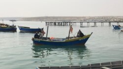 Emissão Vespertina 30 Agosto 2023: Governo angolano tem que fazer mais para combater "tubarões" da pesca  Emissão Vespertina 30 Agosto 2023: Governo angolano tem que fazer mais para combater "tubarões" da pesca