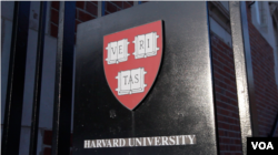 哈佛大学的一处校门(美国之音拍摄)