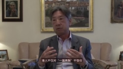 汤家骅:反送中运动突显一国两制的深层次矛盾 汤家骅:反送中运动突显一国两制的深层次矛盾