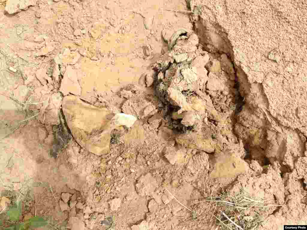 夹边沟右派坟场依然可见当年包裹遇难者遗体的被子(图片:艾晓明提供)