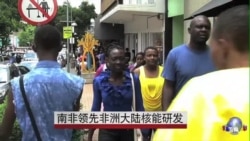 南非领先非洲大陆核能研发 南非领先非洲大陆核能研发