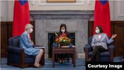 台湾总统蔡英文2020年6月5日接见英国在台办事处代表唐凯琳(台湾总统府提供)