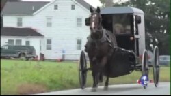 美国阿米什社区不满电视真人秀抹黑 美国阿米什社区不满电视真人秀抹黑