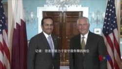 国务卿蒂勒森否认打算辞职 国务卿蒂勒森否认打算辞职