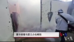 寨卡病毒与婴儿小头畸形 寨卡病毒与婴儿小头畸形