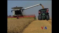 报告:只要减少粮食浪费就能养活全球人口 报告:只要减少粮食浪费就能养活全球人口