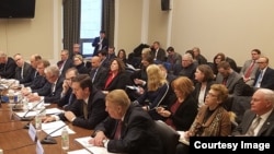 美国四大钢铁生产商首席执行官3月21日在国会钢铁小组主席听证会 (Courtesy: American Iron and Steel Institute)