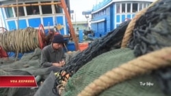 TQ cấm đánh cá ở Biển Đông, Việt Nam phản đối TQ cấm đánh cá ở Biển Đông, Việt Nam phản đối