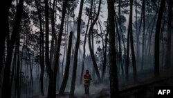 Seorang petugas pemadam kebakaran berusaha memadamkan kebakaran hutan di Casais do Vento di Alvaiazere, 10 Juli 2022. Sekitar 1.500 petugas pemadam kebakaran diturunkan untuk memadamkan tiga kebakaran hutan yang berlangsung lebih dari 48 jam di Portugal tengah dan utara.