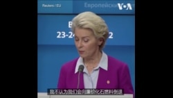 冯德莱恩：欧盟不会重返化石燃料时代