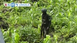 VOA60 Lingala 02 juillet 2022 VOA60 Lingala 02 juillet 2022