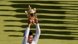 Wimbledon ချန်ပီယံဆု Djokovic သတ္တမအကြိမ် ဆွတ်ခူး Wimbledon ချန်ပီယံဆု Djokovic သတ္တမအကြိမ် ဆွတ်ခူး