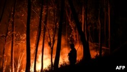 Siluet dari seorang petugas pemadam kebakaran yang tampak berdiri di tengah hutan yang dilanda kebakaran di Casais do Vento, Alvaiazere, Portugal, pada 10 Juli 2022. (Foto: AFP/Patricia De Melo Moreira)