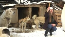 美滑雪运动员走访韩国养狗场:“令人心碎” 美滑雪运动员走访韩国养狗场:“令人心碎”