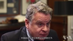 重量级议员强烈要求川习会谈人权 重量级议员强烈要求川习会谈人权