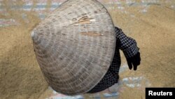 Một nông dân làm lụng trên một đồng ruộng bên ngoài Hà Nội, ngày 10/6/2019. REUTERS/Kham