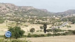 ኤርትራ -ዙር ቅድድም ብሽክለታ ዞባ ማእከል 2024 ኤርትራ -ዙር ቅድድም ብሽክለታ ዞባ ማእከል 2024