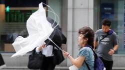 တိုင်ဖွန်း Jebi ကြောင့် ဂျပန်မှာ လူတသန်းကျော် ဘေးလွတ်ရာပြောင်းရွှေ့ တိုင်ဖွန်း Jebi ကြောင့် ဂျပန်မှာ လူတသန်းကျော် ဘေးလွတ်ရာပြောင်းရွှေ့