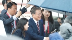 焦点对话:习近平访朝,特朗普访韩,美中较劲朝鲜半岛 焦点对话:习近平访朝,特朗普访韩,美中较劲朝鲜半岛