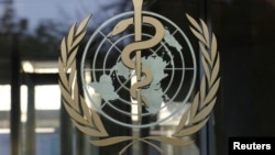 图为世界卫生组织标识。(资料照片)