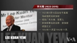 李光耀生平 李光耀生平