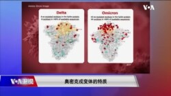 时事大家谈:世卫避开希腊字母Xi新毒株命名遇到“敏感词”?奥密克戎毒株来袭疫苗要如何修改? 时事大家谈:世卫避开希腊字母Xi新毒株命名遇到“敏感词”?奥密克戎毒株来袭疫苗要如何修改?