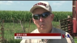 美国农场主欢迎TPP