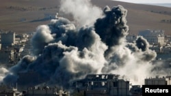 រូបថតមួយដែលផ្តល់ដោយប៉ូលិសនៅក្នុងក្រុង Goyang បង្ហាញពីសត្វស្វាពីរក្បាលដែលជិតផុតពូជដែលត្រូវបានជួយរំដោះឈ្មួញជនជាតិកូរ៉េខាងត្បូង។