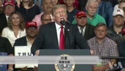 川普的推特政治恐不利中期选举 川普的推特政治恐不利中期选举