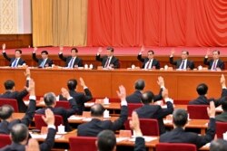 2021年11月11日,习近平等中共领导人在中共19届6中全会上举手表决。(美联社/新华社照片)