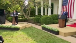 特朗普:本周将向各州发放快速病毒检测剂 特朗普:本周将向各州发放快速病毒检测剂