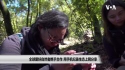 全球爱好自然者携手合作 用手机纪录生态上网分享 全球爱好自然者携手合作 用手机纪录生态上网分享