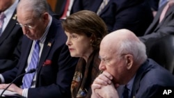 美国参议员黛安娜·范斯坦（中）在会议上（2017年4月3日）