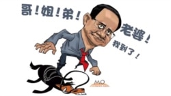 火墙内外：有关令计划报道被严加管控