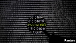 资料图:2013年5月21日柏林: 对准电脑屏幕的放大镜。