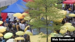 多个团体政总外纪念雨伞运动半周年(参与网图片)